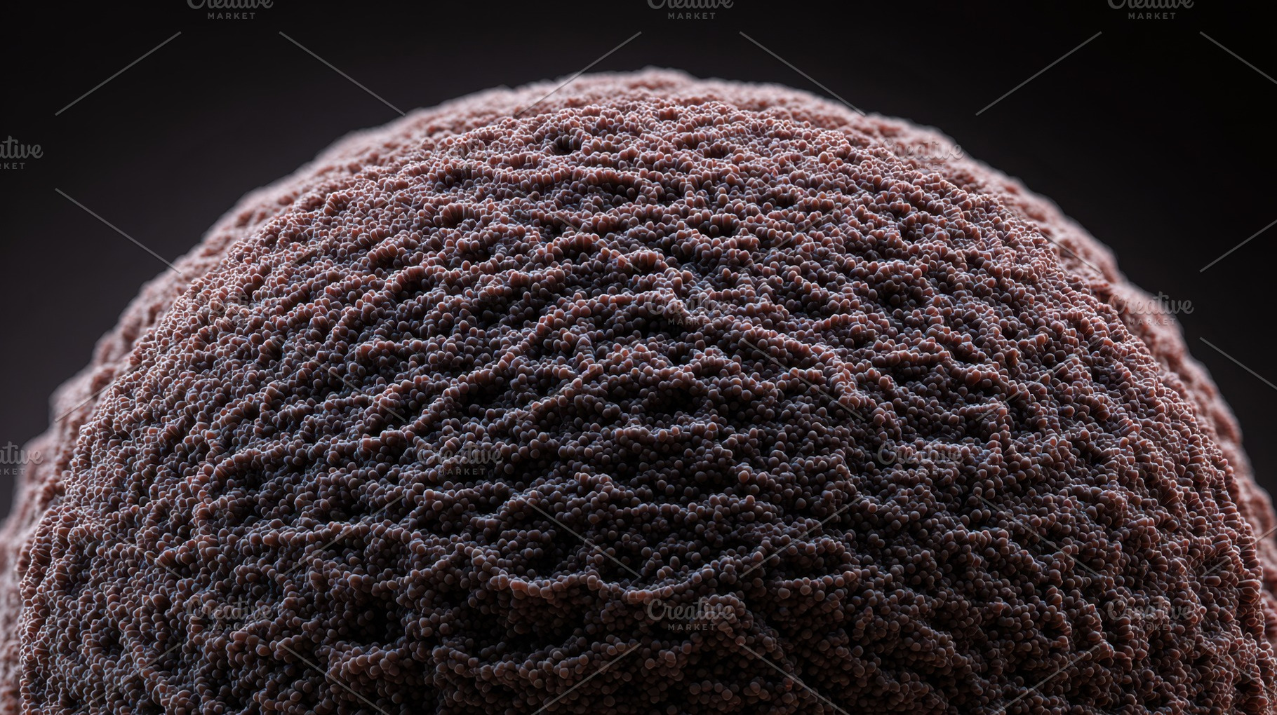 Dust particles close up view, a Photo by Beautiful things