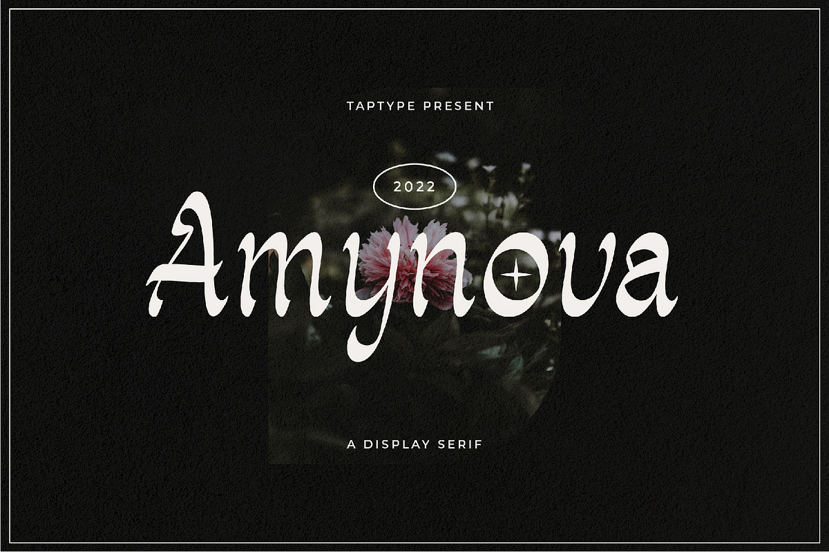 Amynova - Script Sans Serif Display, a Slab Serif Font by Vesvocrea (Photo 1 of 10)