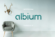 Albium - Round Identity Font, a Font by Craft Graphic Type (Thumbnail 4 of 10)