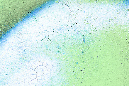 Colorful graffiti painted on a wall. Abstract urban background. Spray painting, an Abstract Photo by Eugene_Photo