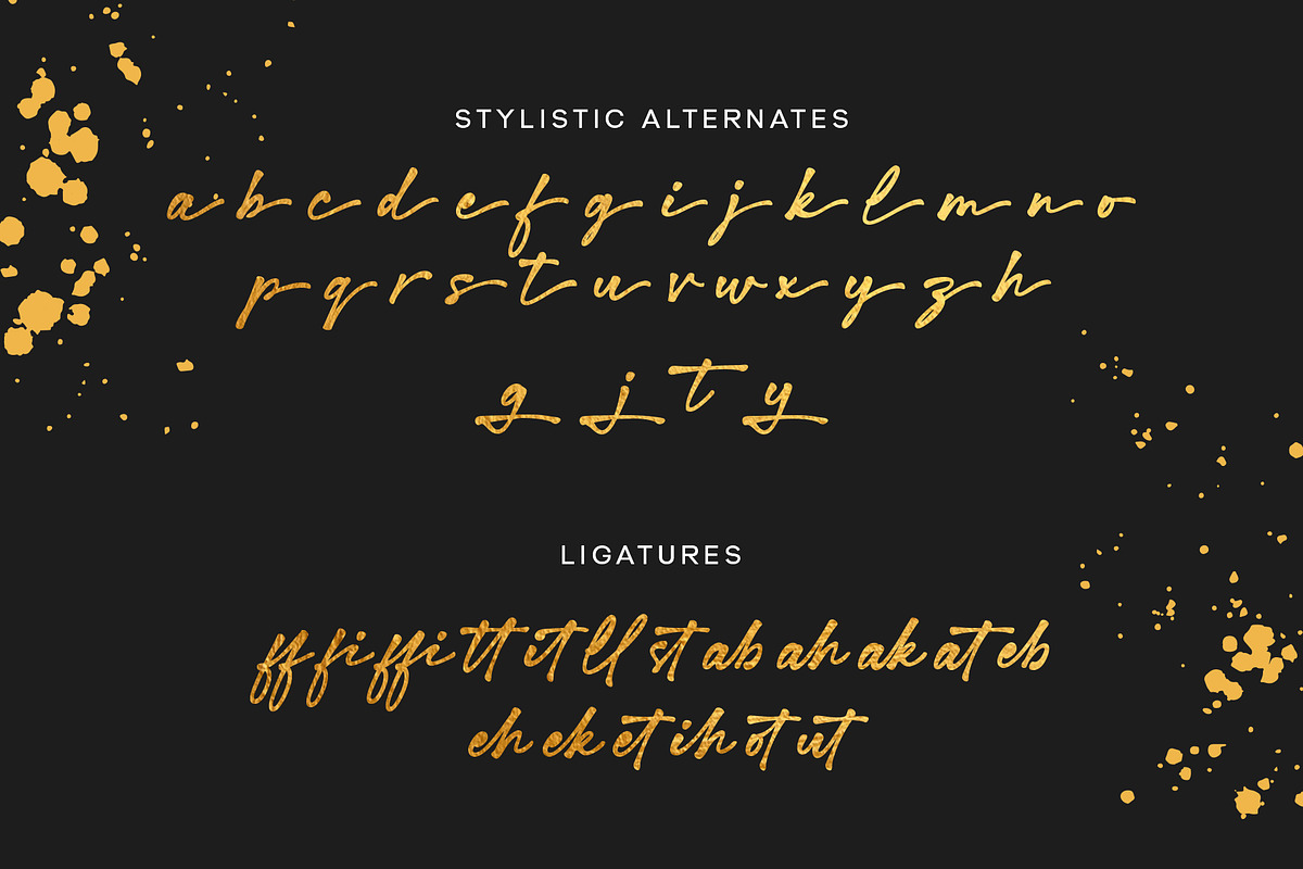 Hollinet Signature, a Handwritten Font by Siwox Studios (Photo 7 of 8)