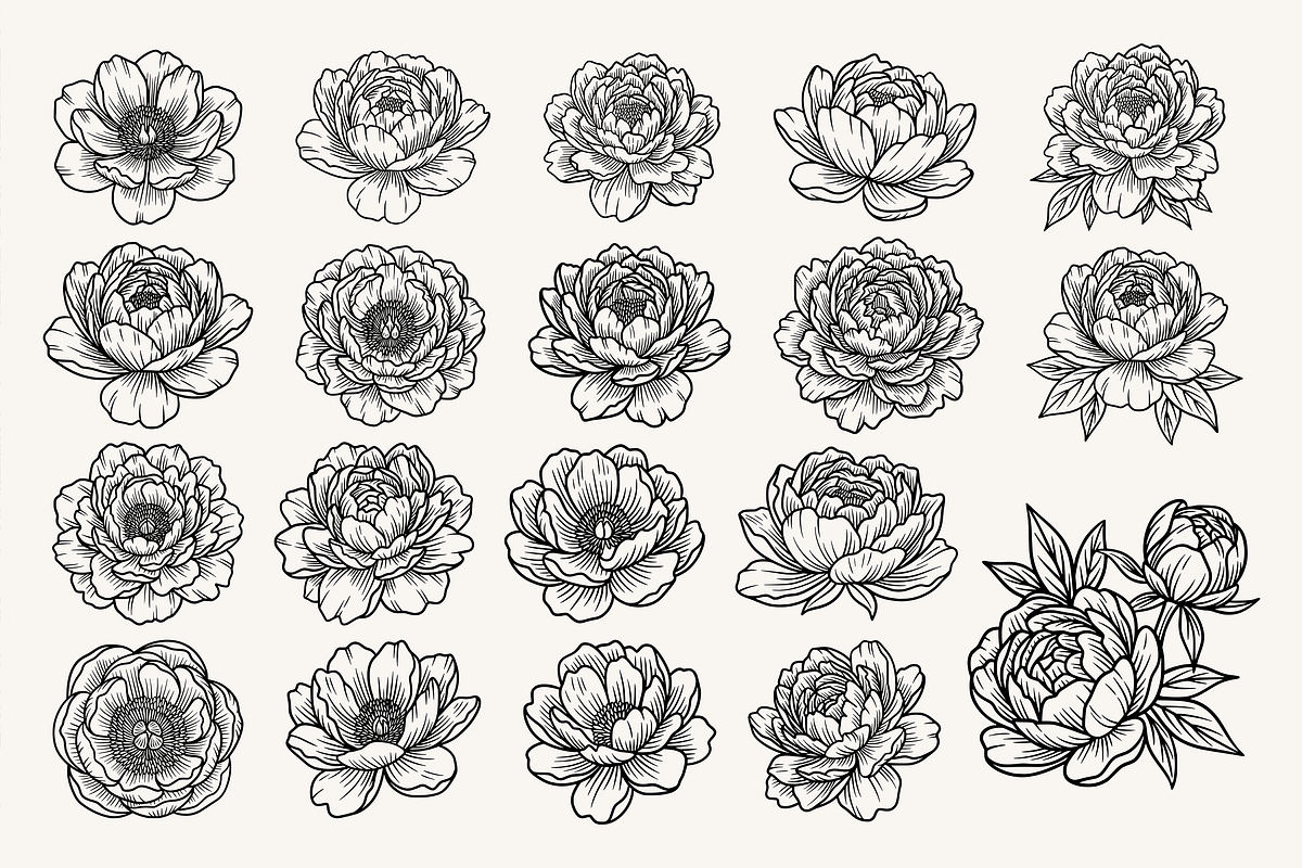 Peony Flower Line Art Illustration, a Decorative Illustration by Kusumaillustration (Photo 2 of 15)