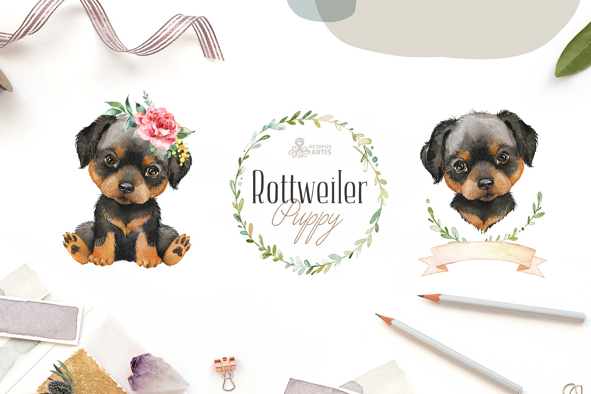 Puppy Paws 2. Watercolor Collection, an Illustration by OctopusArtis (Photo 7 of 11)