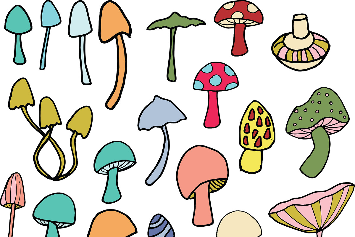 Mushrooms - color and outline, an Illustration by Valeri Nick (Photo 4 of 6)