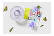 Wow BOWS! graphic collection, a Pattern Graphic by Lera Efremova (Thumbnail 9 of 13)