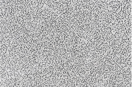 Gray fabric cloth with short pile