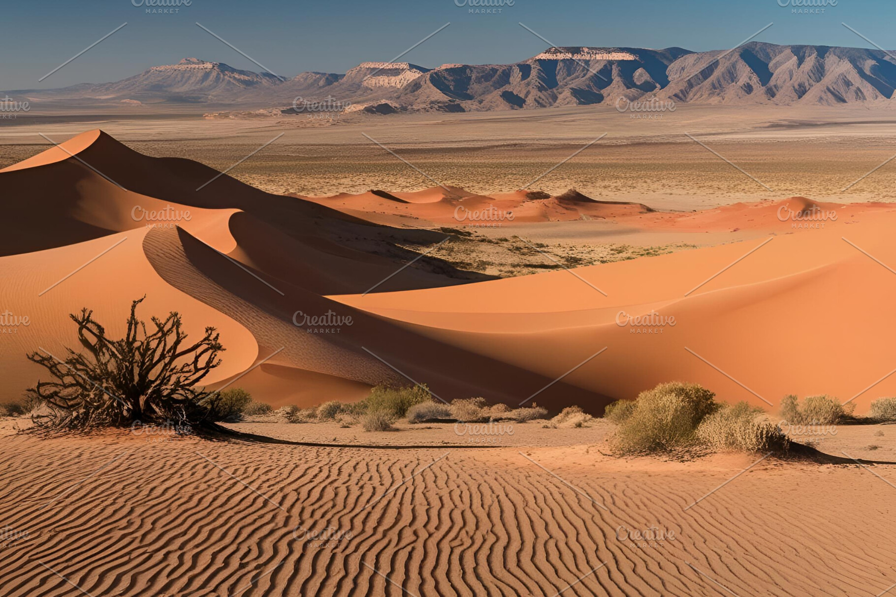 Desert landscape photograph, a Nature Photo by ComfortQ