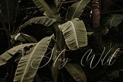 Black Cabaret Script Font & Logos, a Script Font by CallMeStasia (Thumbnail 11 of 18)