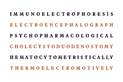 Castemire - Serif Typeface, a Serif Font by alpercakici (Thumbnail 4 of 13)