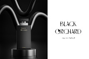 GAIA display sans, a Sans Serif Font by erlosDESIGN (Thumbnail 4 of 11)