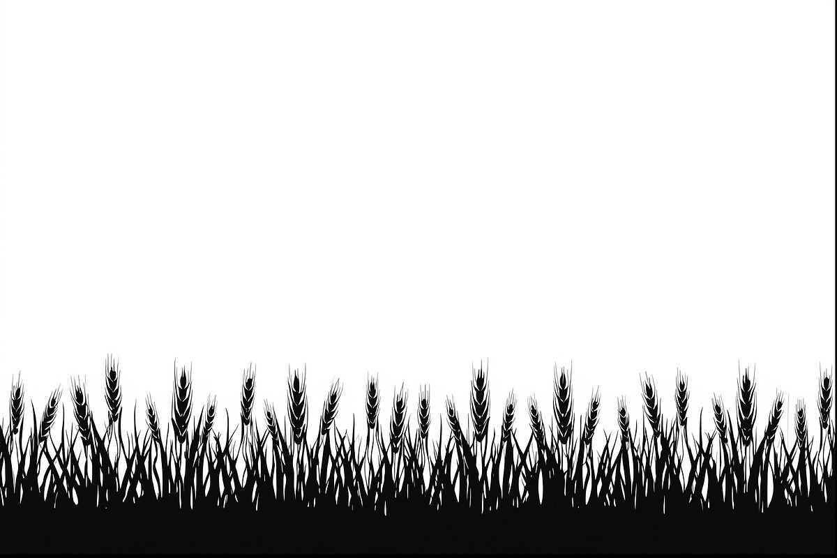 Rustic Wheat Field Vector Borders, an Illustration by hafijul (Photo 6 of 9)