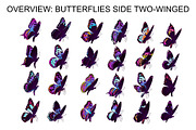 Wings & Butterfly(SVG, PNG Brushes), a Brush Add-On by xresch (Thumbnail 8 of 22)