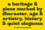 Retro Masters New Bold Display Sans, a Sans Serif Font by timelesstype.co (Thumbnail 8 of 10)