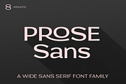 Prose Sans | Sans Serif Font Family, a Sans Serif Font by Ayca Atalay (Thumbnail 1 of 11)