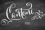 Cantoni Pro Hand Lettered Font, a Script Font by Debi Sementelli (Thumbnail 1 of 4)
