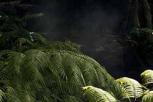 jungle fragment