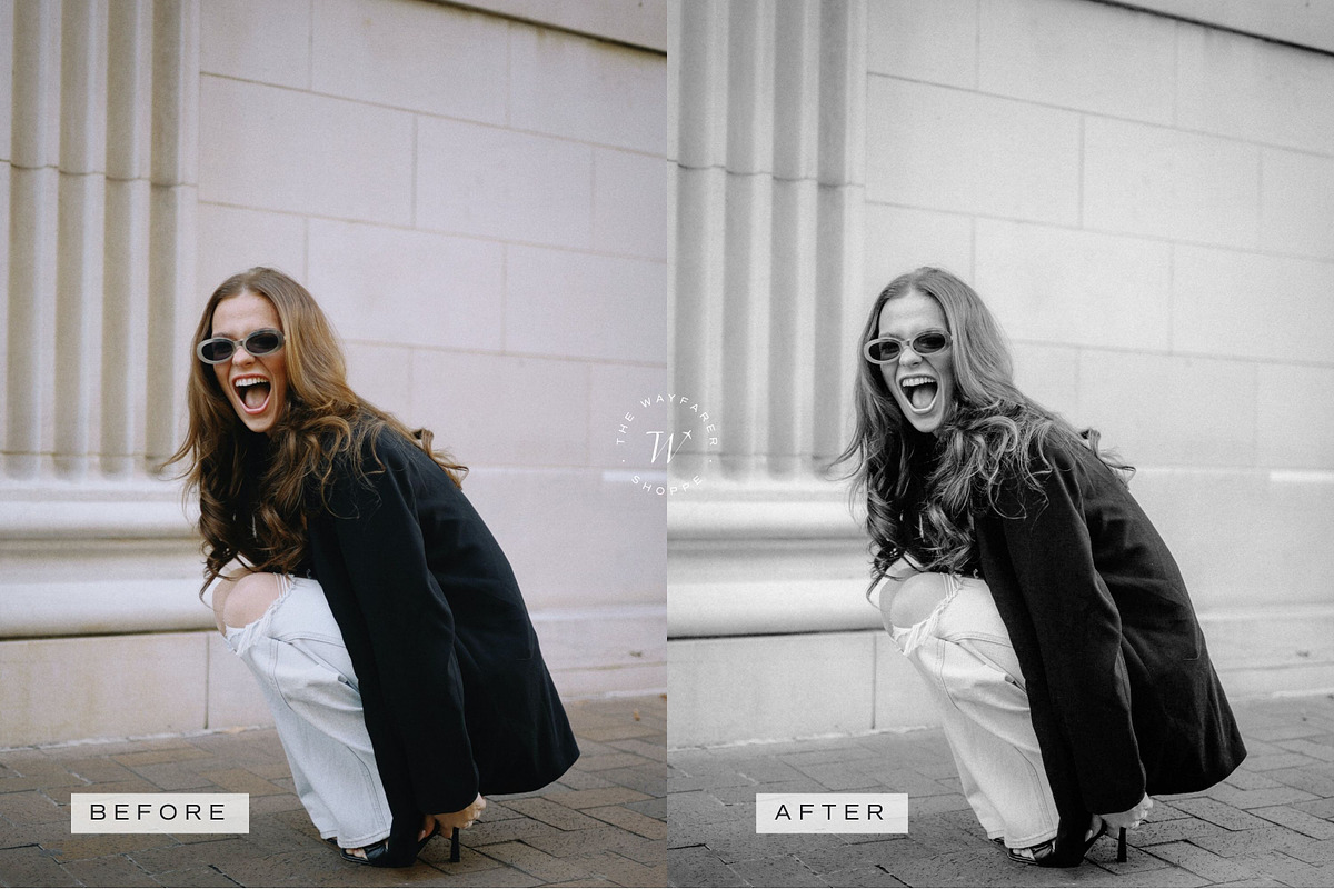 5 B&W LR Presets + Video LUTs, a Preset Add-On by TheWayfarerShoppe (Photo 11 of 17)