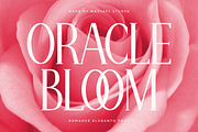 Romance Eleganto - Modern Serif Font, a Serif Font by Masyafi Studio (Thumbnail 7 of 9)