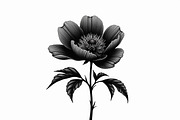 Floral Corner & Border Bundle, an Illustration by BIPLOB EXPERT (Thumbnail 5 of 9)
