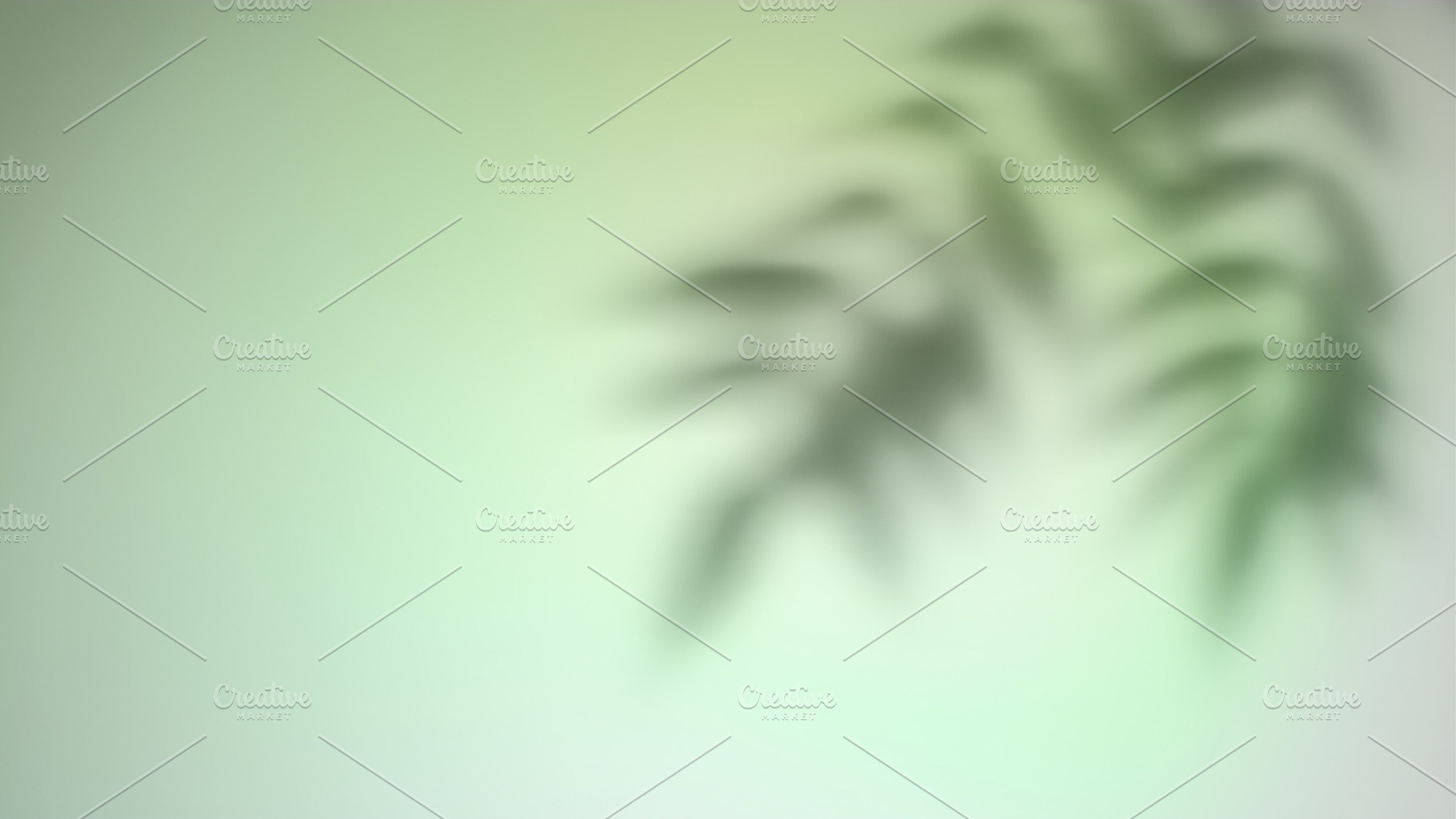 Foliage shade bamboo leaves green plant contour, a Background Photo by Photo Drive Studio