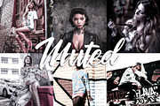 10 Lightroom Presets - Muted, an Action Add-On by Preset Bunker (Thumbnail 1 of 10)