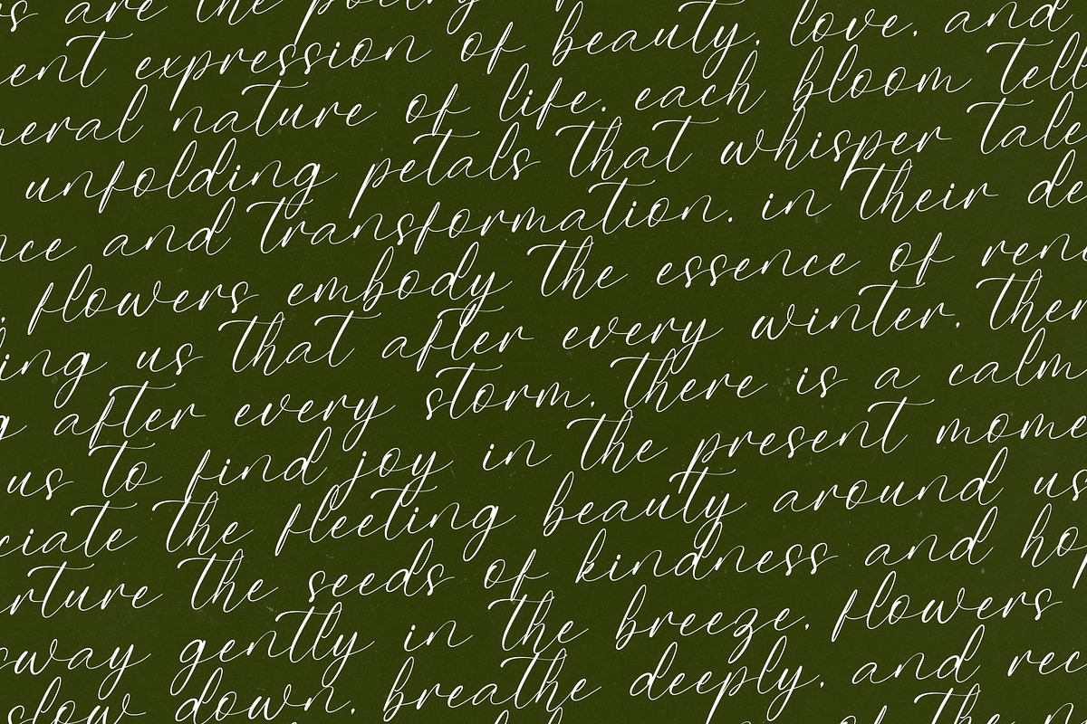 Belinda Tsakila Modern Freestyle, a Script Font by Letterena Studios Script (Photo 7 of 15)