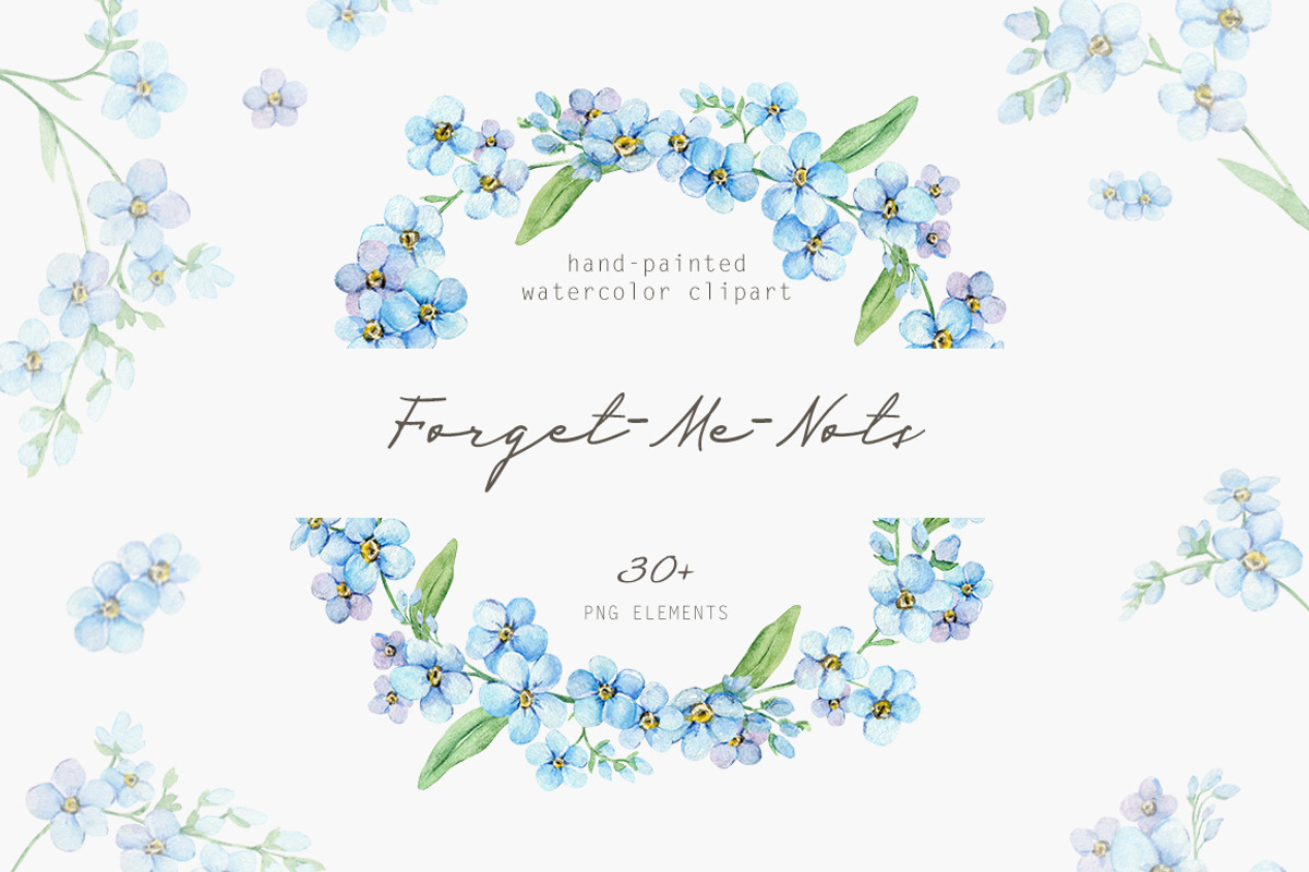 Forget Me Not Watercolor Clipart, an Illustration by Daryartsy (Photo 1 of 8)