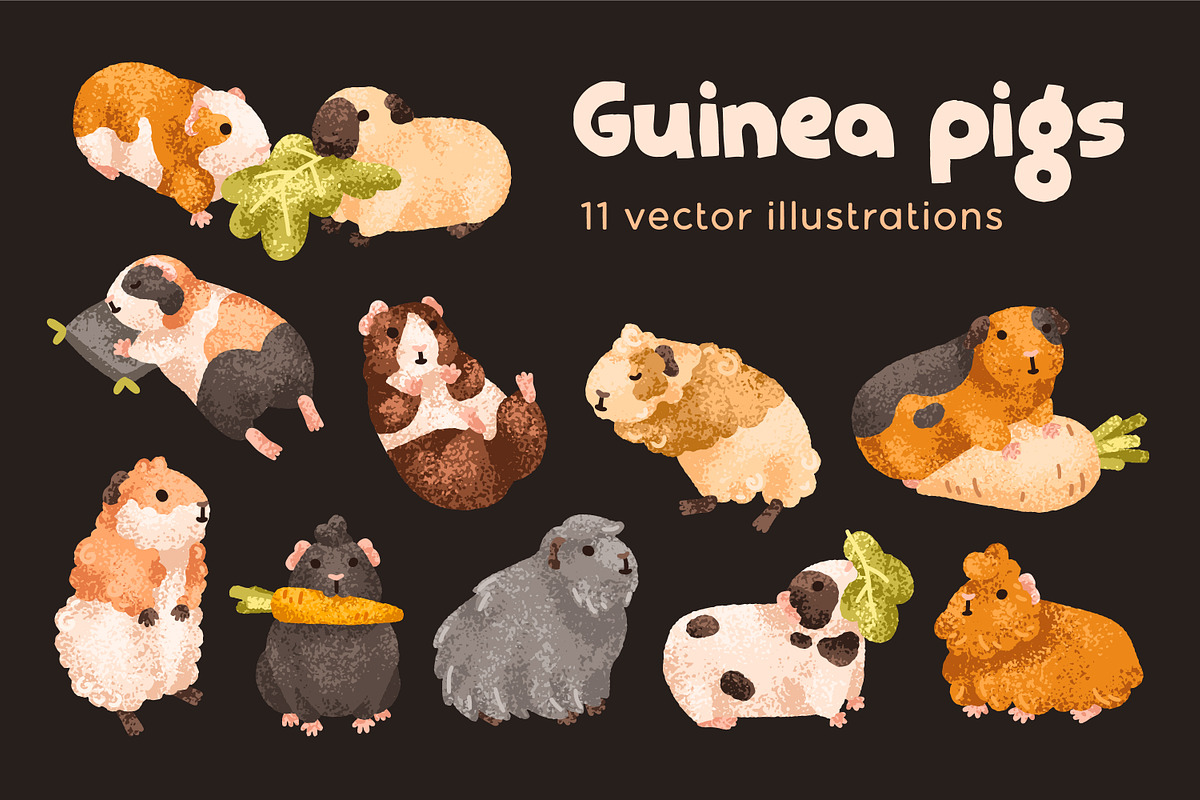 Cute, funny guinea pig animals set, an Animal Illustration by Good Studio (Photo 1 of 14)