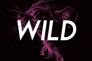 Leaner Font - 3 weights, a Sans Serif Font by kulturrrno (Thumbnail 2 of 12)