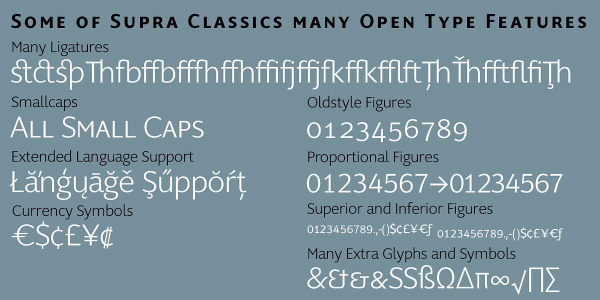 Supra Classic, a Sans Serif Font by Wiescher-Design (Photo 1 of 9)