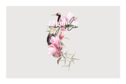 Magnolia & Cranes | Tropical Japan, an Illustration by January Bloom (Thumbnail 7 of 17)