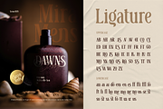 Serofa, a Sans Serif Font by Burntilldead (Thumbnail 5 of 12)