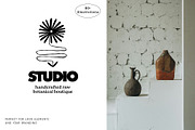 Botanical Vases Illustration Set, a Decorative Illustration by dicreate (Thumbnail 5 of 18)