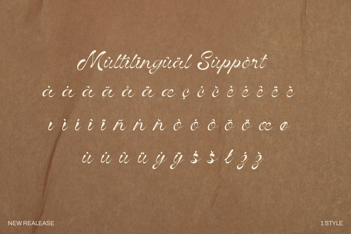 Vinecta - Retro Script Font, a Script Font by Dhabee (Photo 4 of 16)
