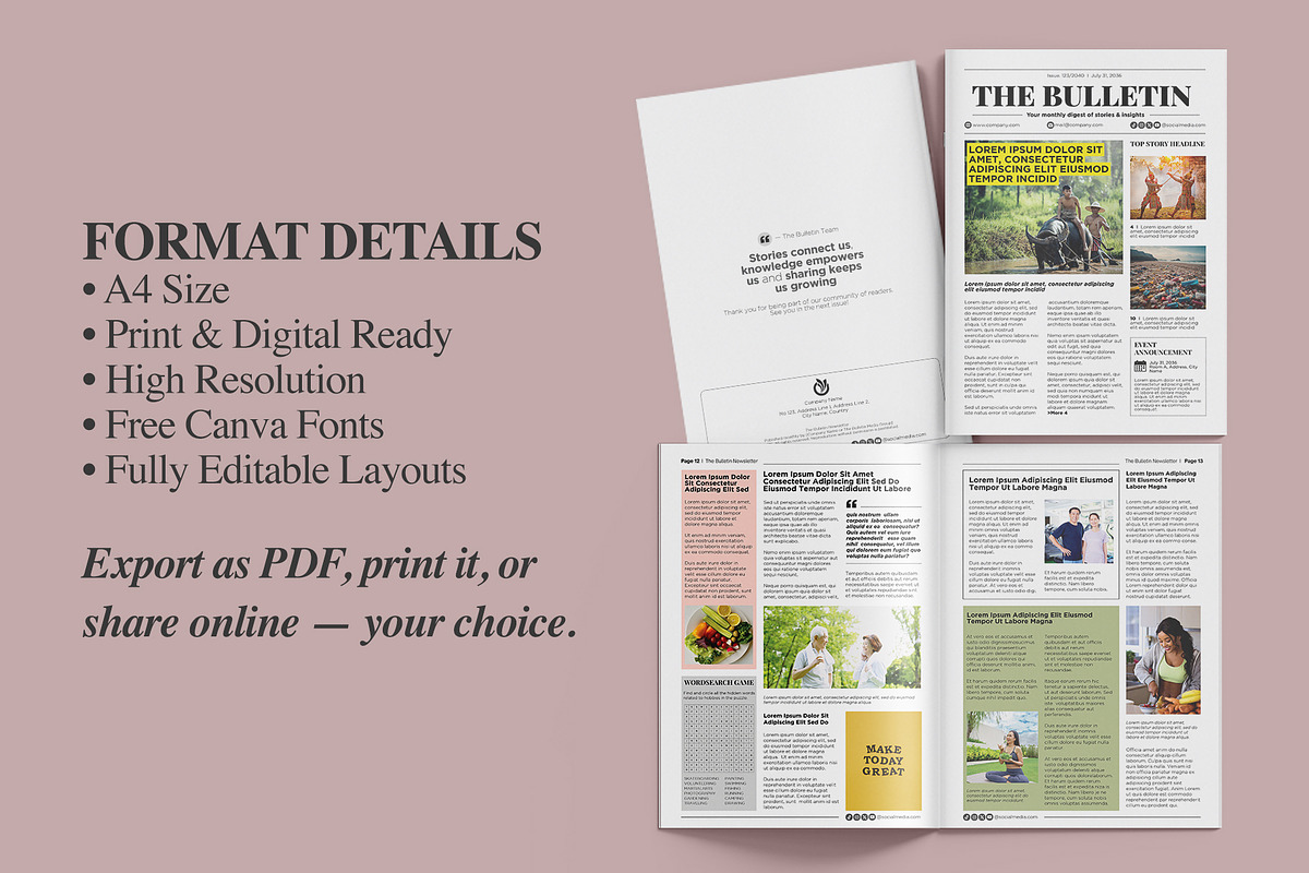 Modern Newsletter Template for Canva preview 5