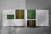 GREENY Lookbook Brochure Template, a Brochure Template by Indotitas (Thumbnail 2 of 9)