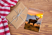 Custom art, Low Country, Buck Deer, a Branding & Logo Template by Boho Pixel Dust (Thumbnail 3 of 10)