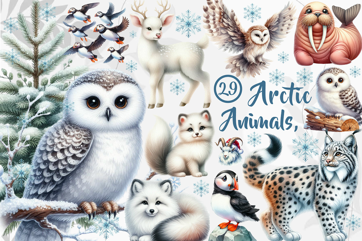Arctic Animals, Clipart, an Illustration by CreationArt (Photo 1 of 5)