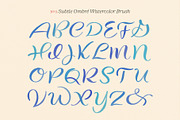 Inky Lettering Procreate Brush Set, a Brush Add-On by Molly Suber Thorpe (Thumbnail 2 of 14)