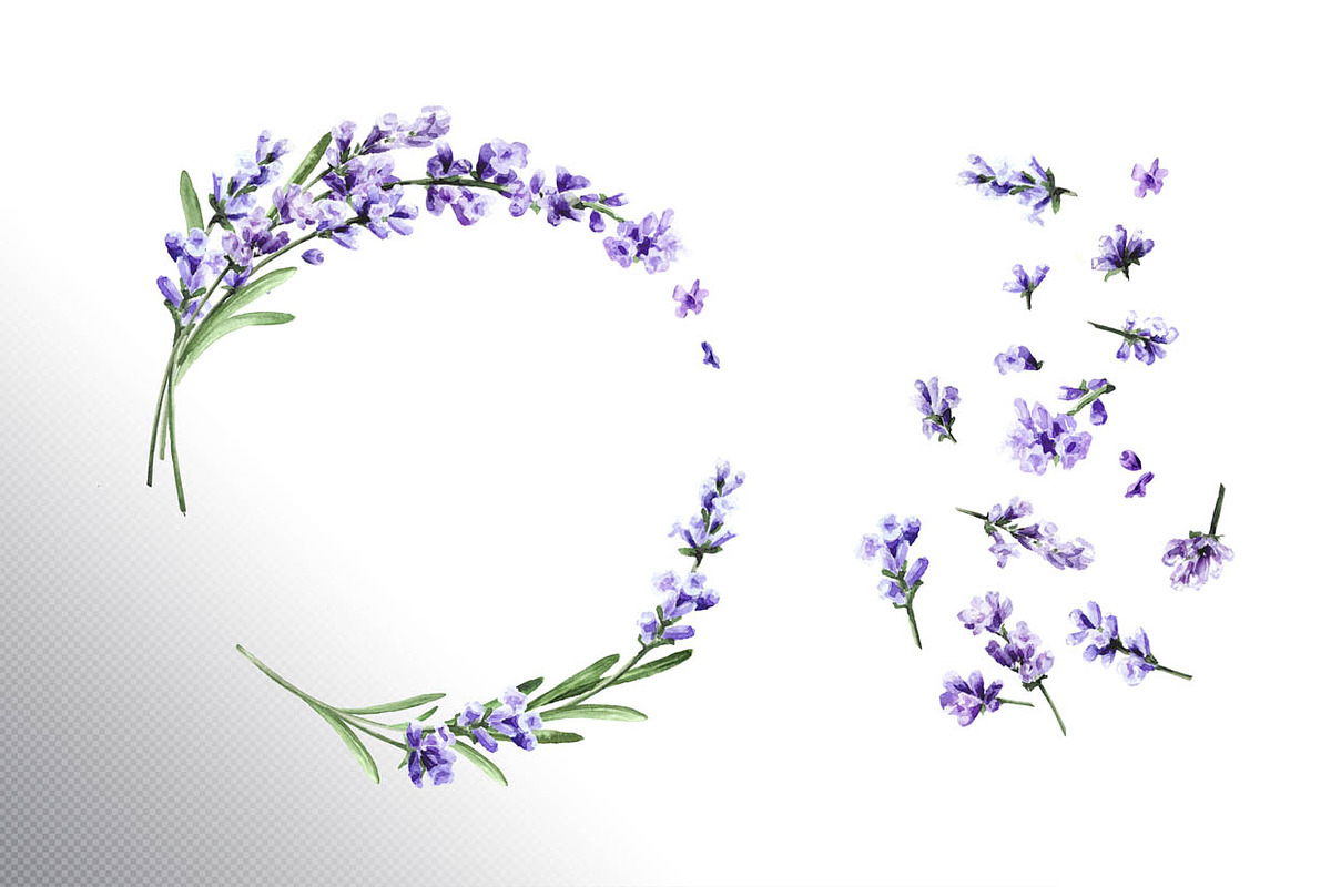 Lavender Mood, a Decorative Illustration by Daria Ustiugova (Photo 6 of 14)