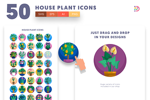 50 House Plant Icons