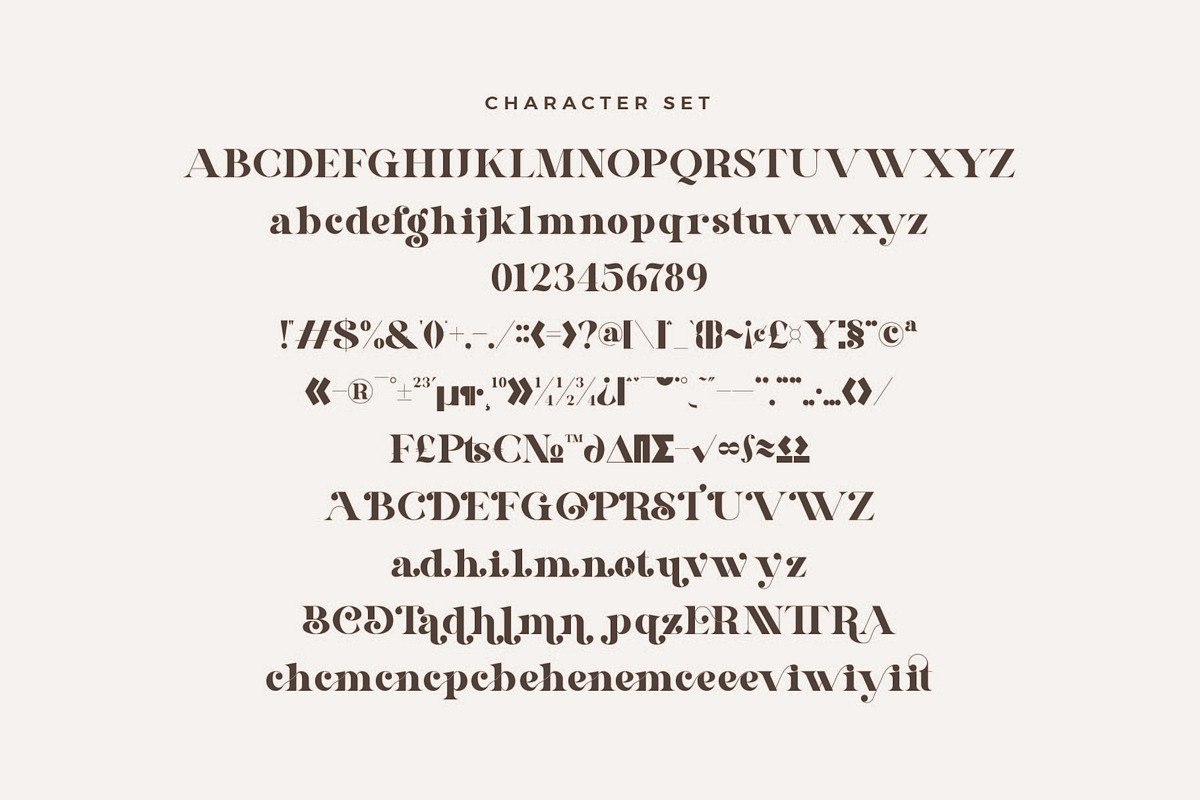 Shogita - Elegant Serif Font, a Serif Font by Aqeel_Art (Photo 8 of 9)
