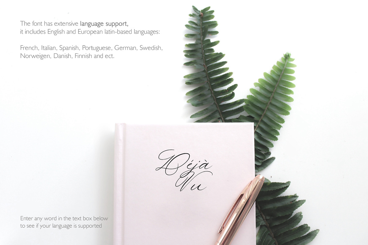 Allure & Grace. Calligraphy, a Script Font by AnMark (Photo 14 of 15)