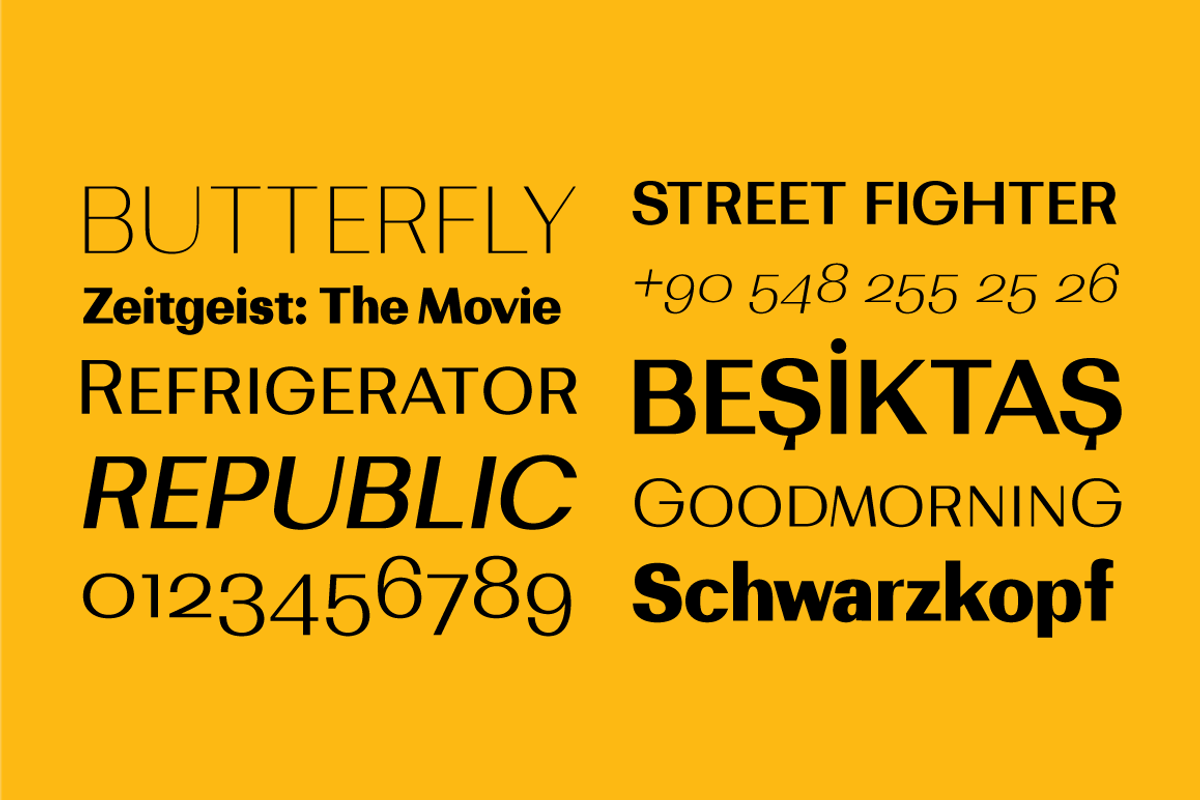 Bodrum Sans, a Sans Serif Font by BULENT YUKSEL (Photo 9 of 12)