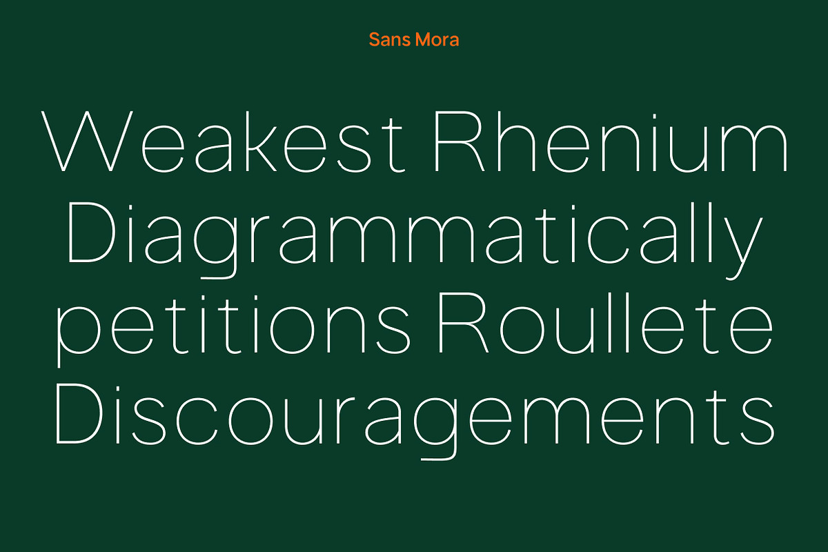 Sans Mora, a Sans Serif Font by Portion.Labs (Photo 6 of 14)