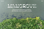 Abeleo – Funky Font, a Serif Font by Craft Supply Co. (Thumbnail 6 of 8)