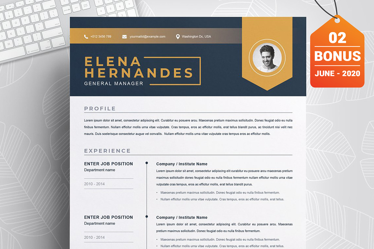 Resume/CV Bundle | 200+ for $29, a Resume Template by ResumeInventor (Photo 118 of 207)