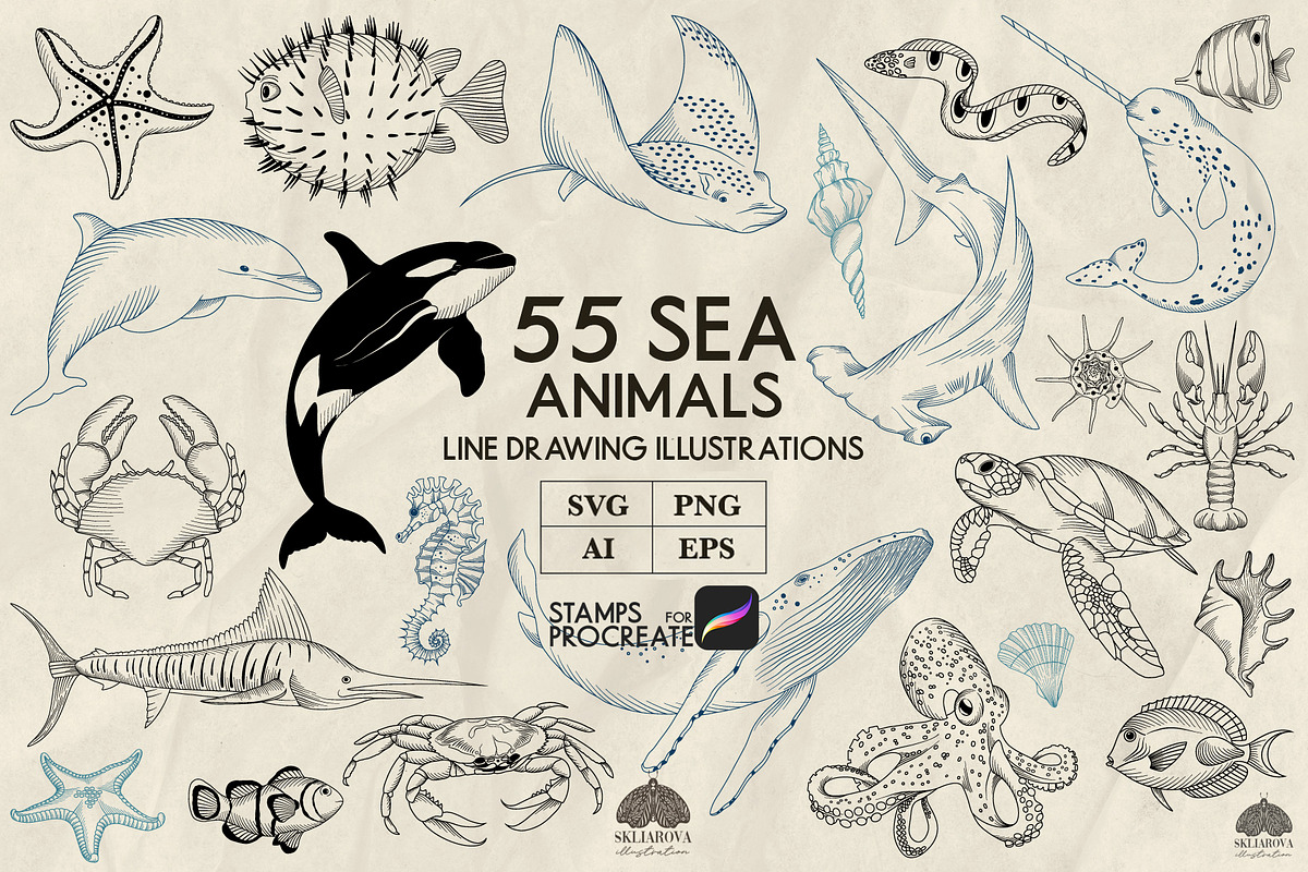 Sea animals line art + Procreate, an Illustration by Skliarova (Photo 1 of 4)