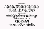 marryou a script with elegant swash, a Script Font by BearyType Studio (Thumbnail 4 of 8)