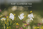 Plants: minimal house plants, a Decorative Illustration by Stacey Shaller (Thumbnail 1 of 7)